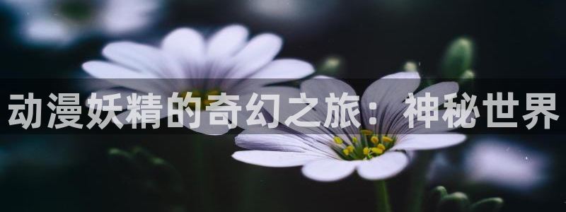里番漫画大全