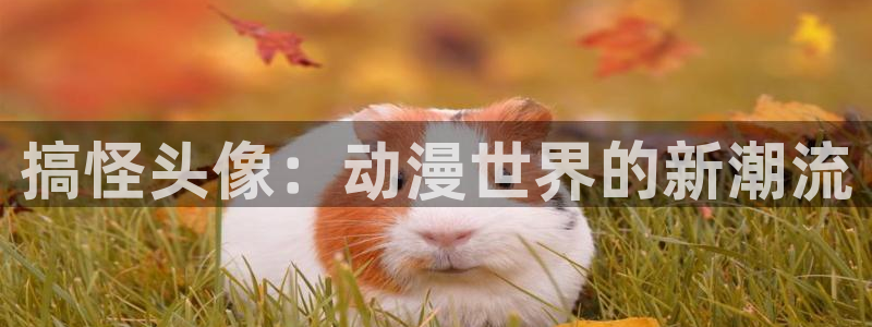 里番动漫更新