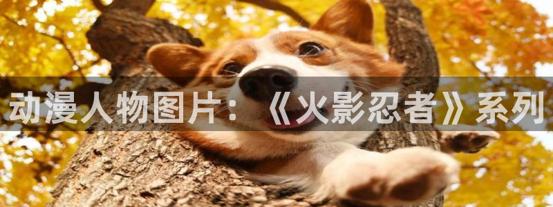 日本旧里番动漫