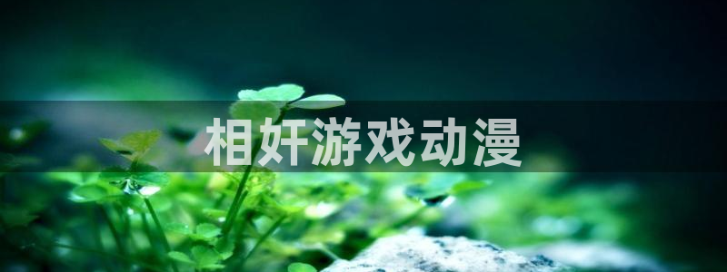 里番无翼鸟少女漫画