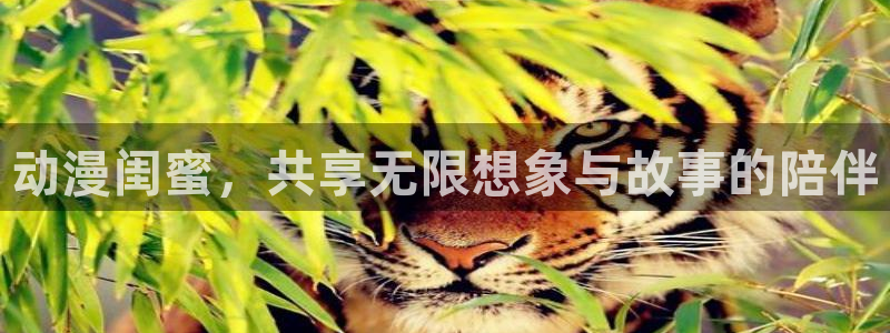 里番动漫库