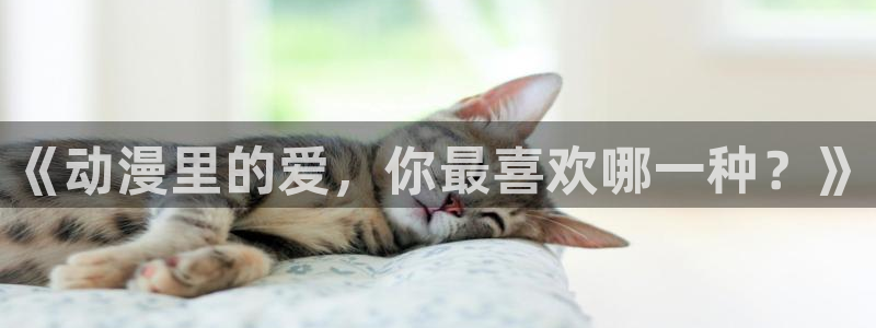 动漫看里番