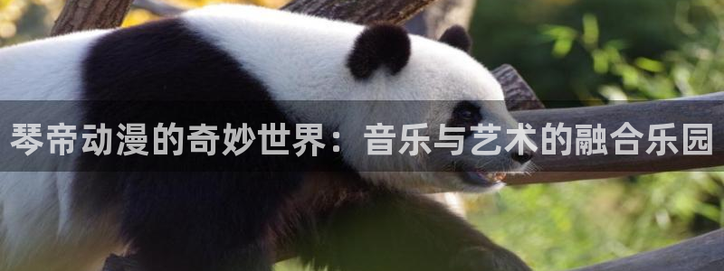 成人动漫里番