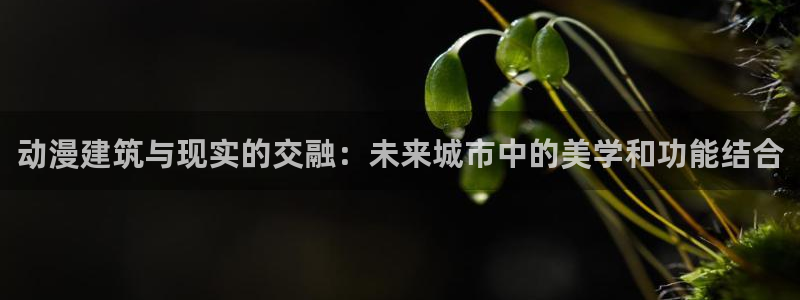 里番动漫免费网站