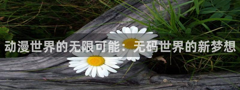 旧里番动画片