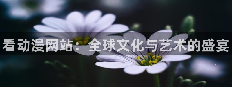 里番动漫在哪里看