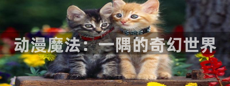 里番动漫网站推荐