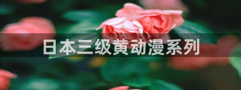 里番动画网：日本三级黄动漫系列