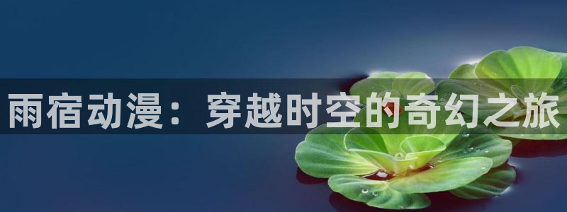 动漫网站里番：雨宿动漫：穿越时空的奇幻之旅