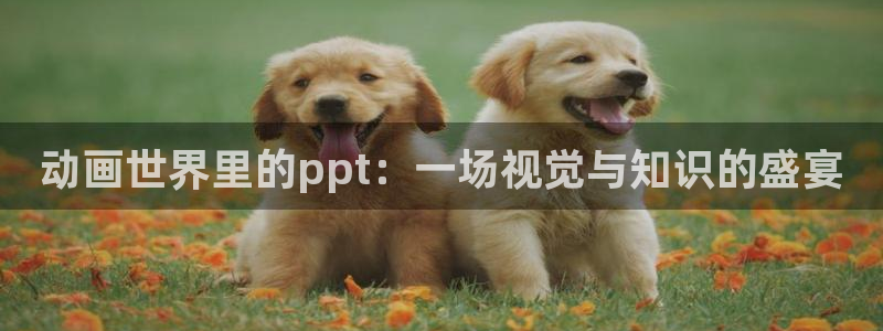 里番漫app