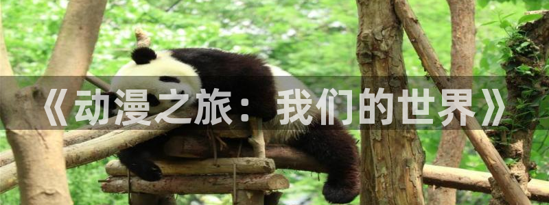 污动漫里番
