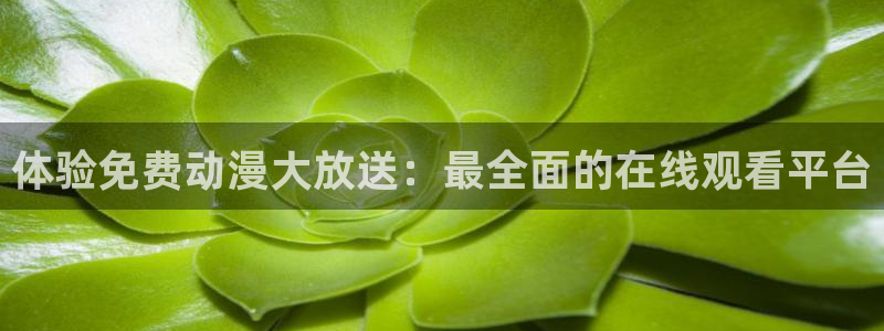 里番动画片