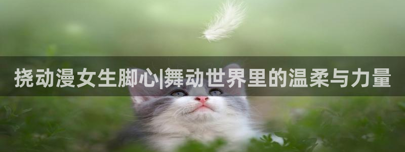 里番动漫app