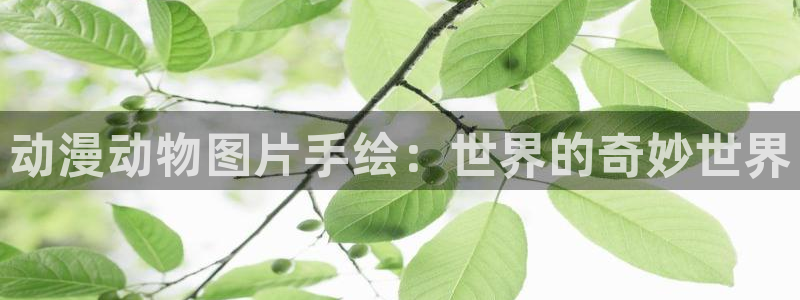 娜美里番漫画