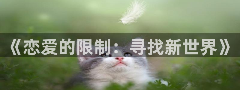 里番在线看动漫网站